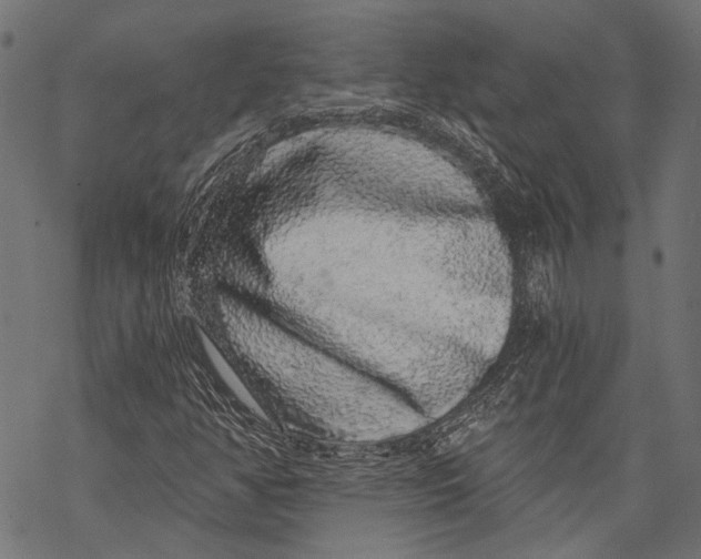 X0000068811350200605261515