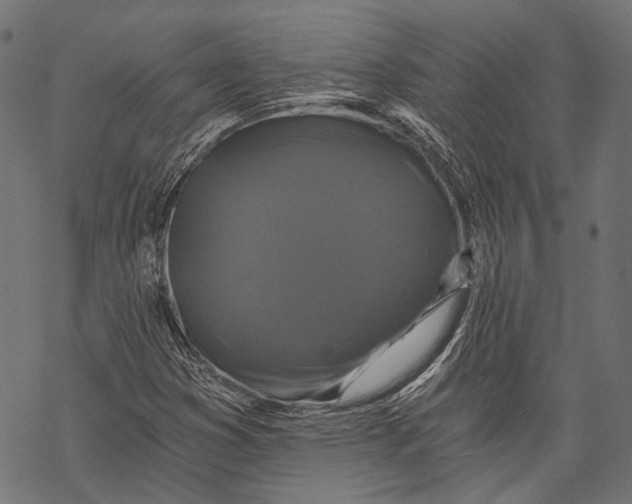 X0000068811353200605261515