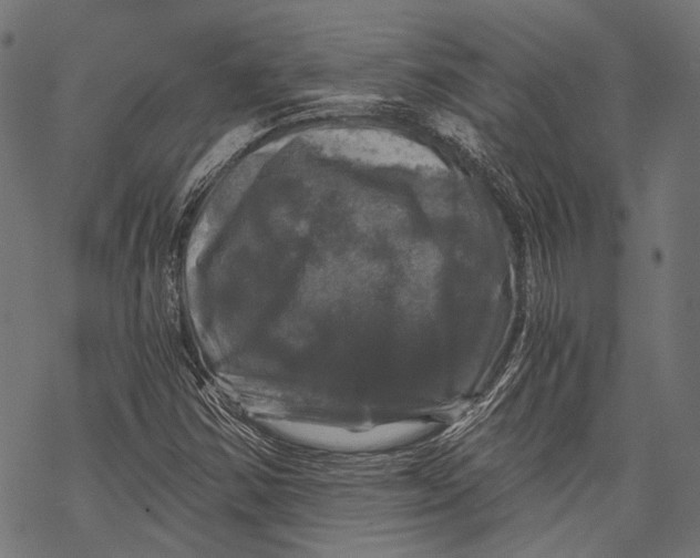 X0000068811354200605261515