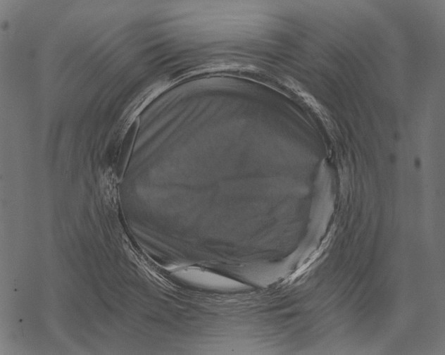 X0000068811369200605261515