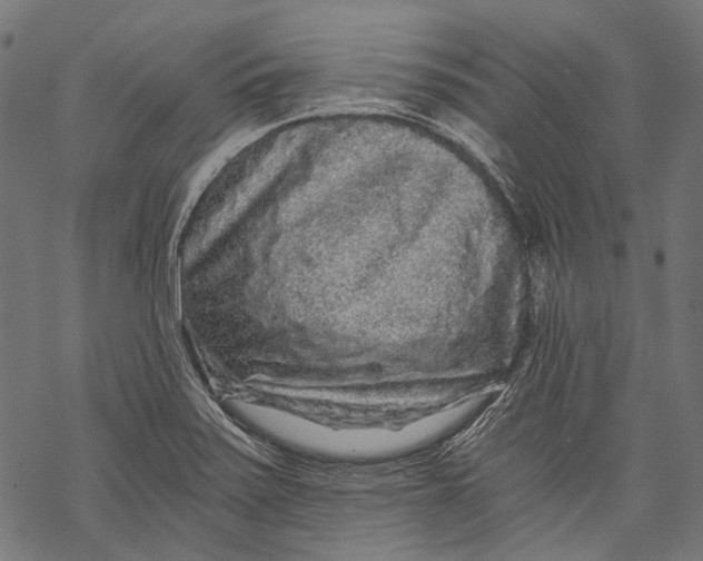 X0000068811371200605261515