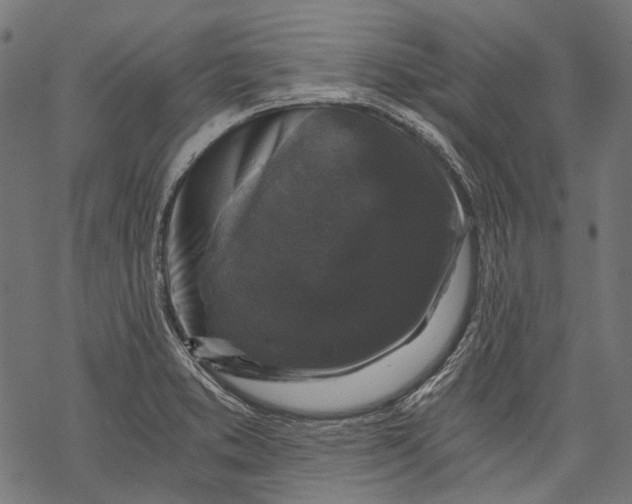 X0000068811373200605261515