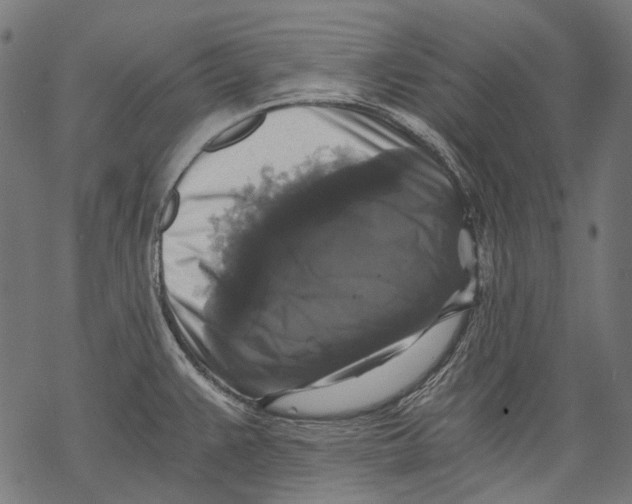 X0000068811383200605261515