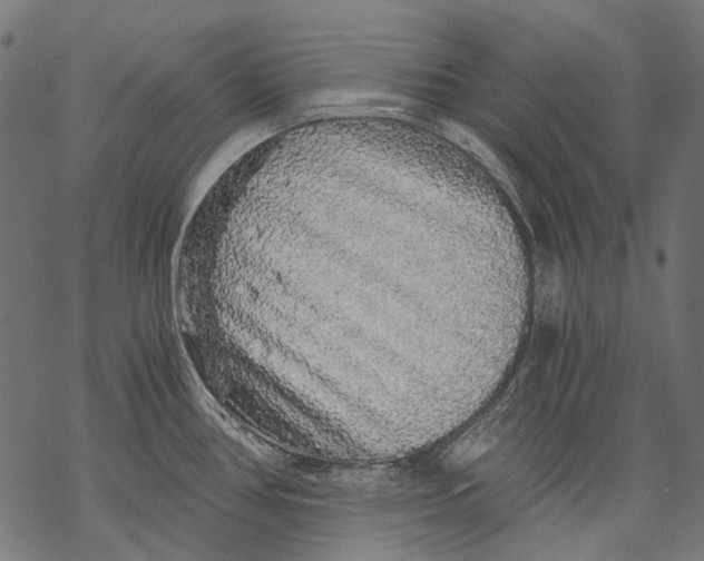 X0000068811386200605261515