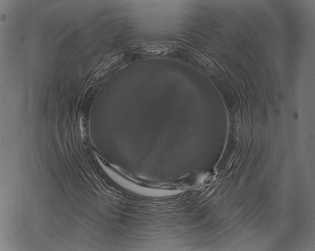 X0000068811394200605261514