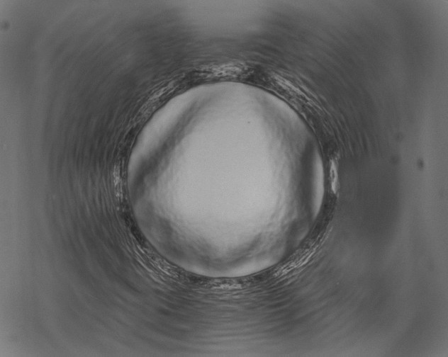 X0000068811395200605261514