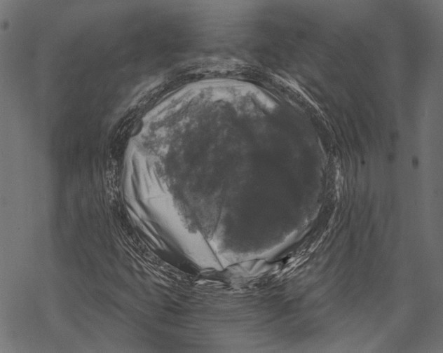 X0000068811399200605261514