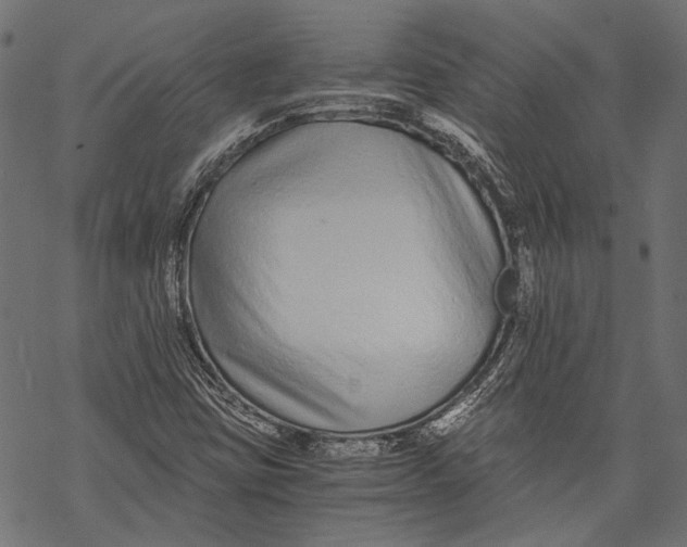 X0000068811403200605261514