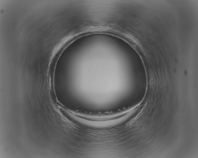 X0000068811414200605261514