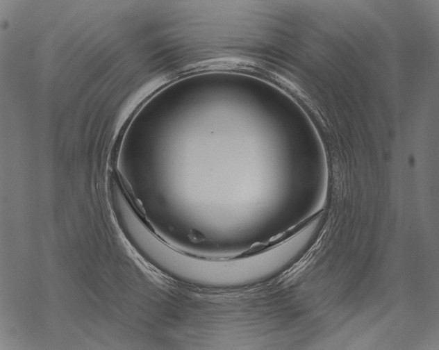 X0000068811426200605261514