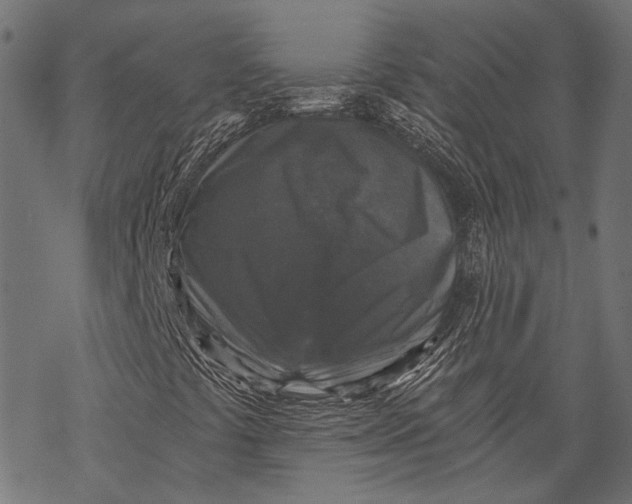 X0000068811441200605261514