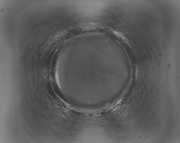 X0000068811445200605261514