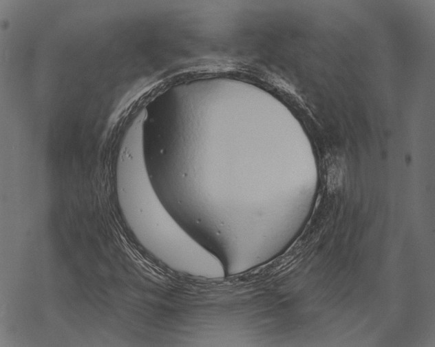 X0000068811448200605261514
