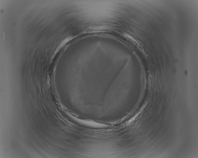 X0000068811449200605261514
