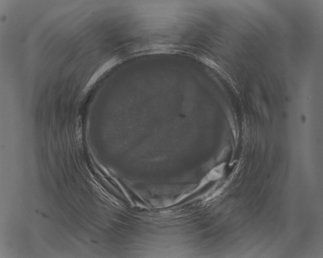 X0000068811450200605261514