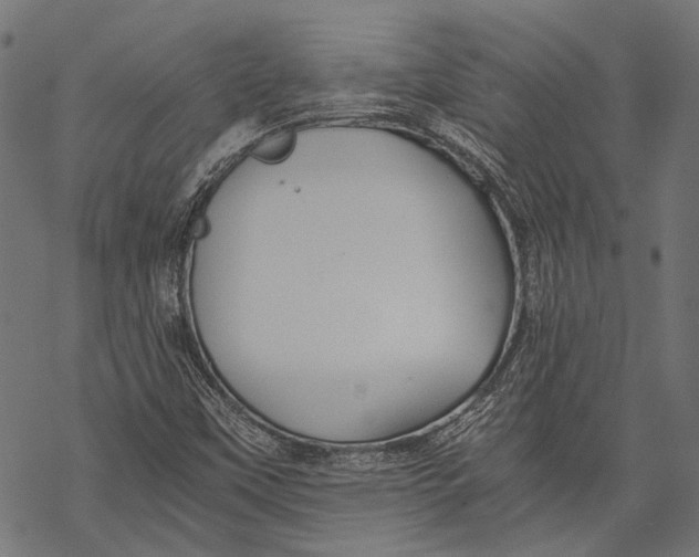 X0000068811451200605261514