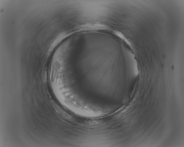 X0000068811459200605261513