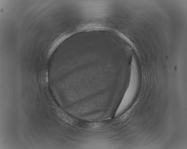 X0000068811461200605261513