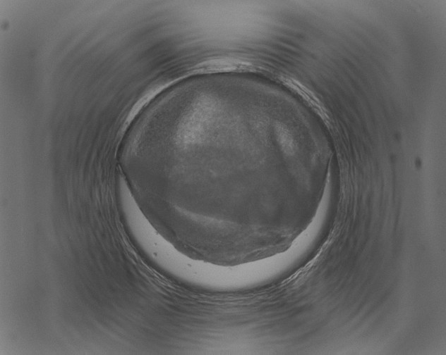 X0000068811465200605261513