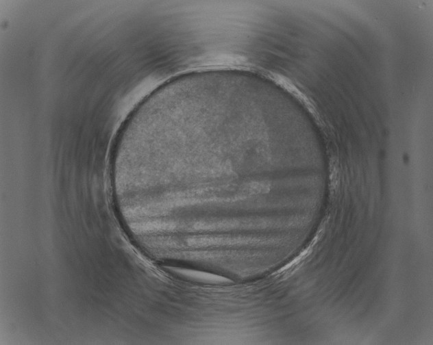 X0000068811469200605261513
