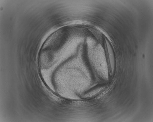 X0000068811475200605261513