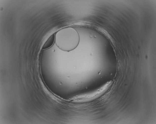 X0000068811483200605261513