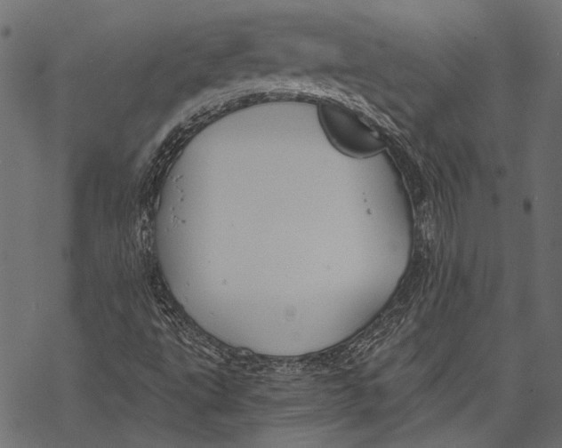 X0000068811495200605261512