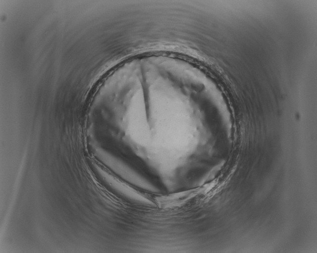 X0000068811505200605261512