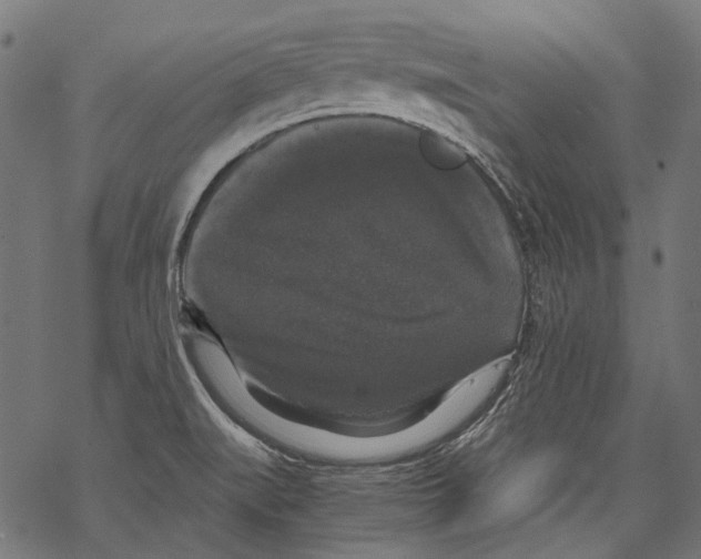 X0000068811519200605261513