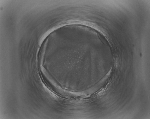 X0000068811527200605261513