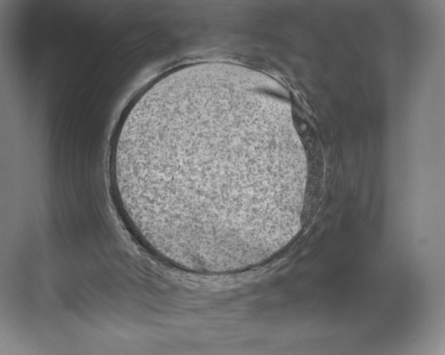 X0000068810006200606021603