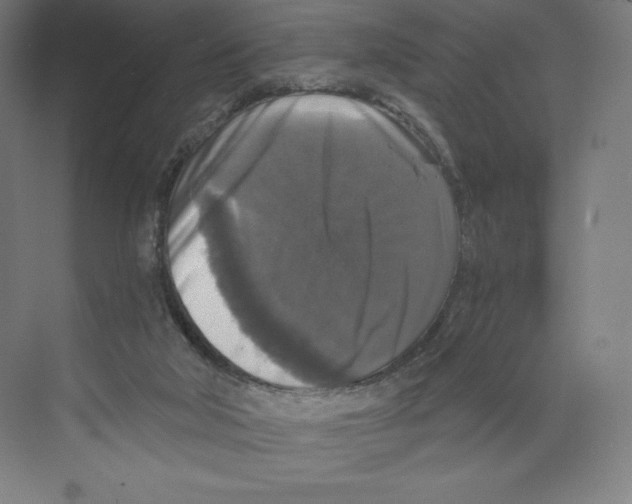 X0000068810018200606021603