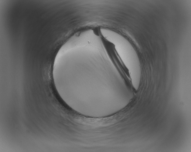 X0000068810023200606021603