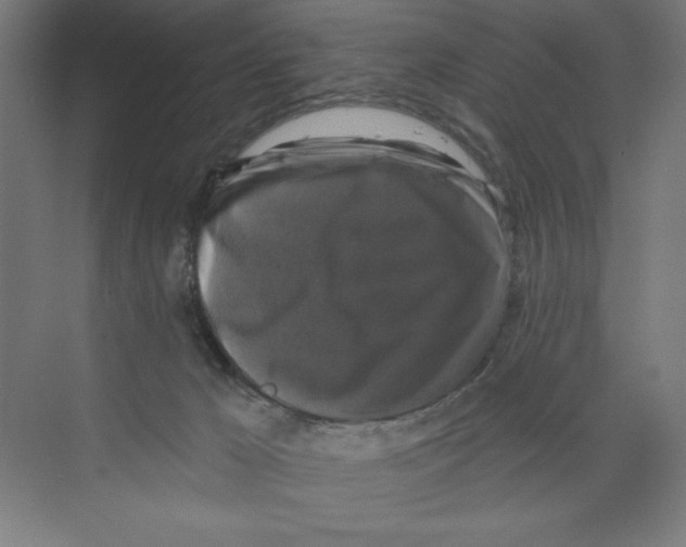 X0000068810029200606021602
