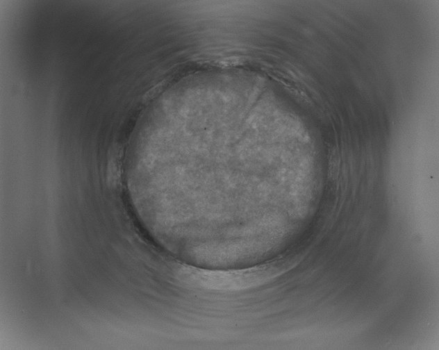 X0000068810030200606021602