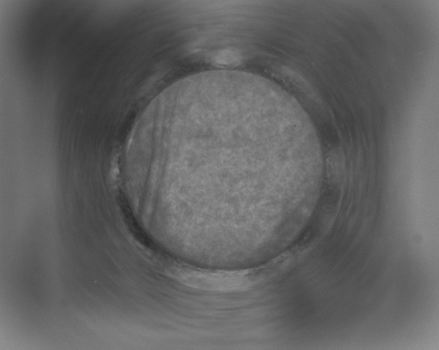 X0000068810032200606021602