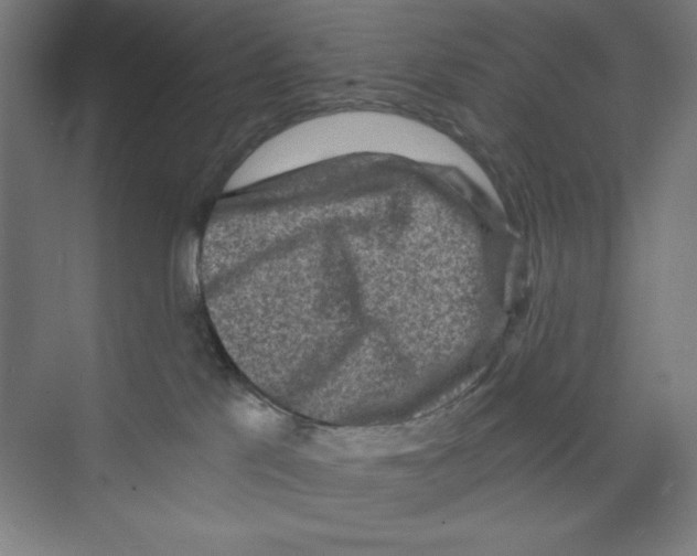 X0000068810041200606021602