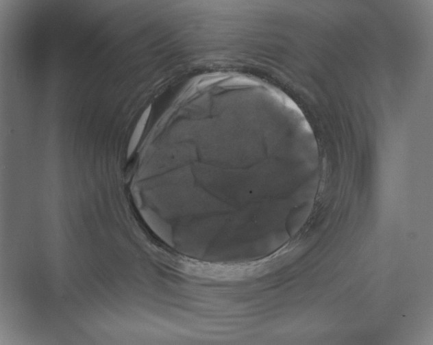 X0000068810048200606021602