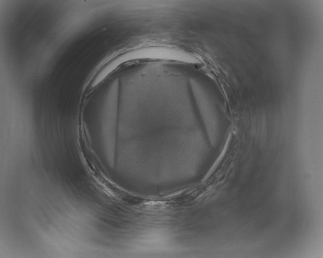 X0000068810052200606021601