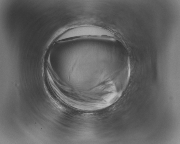 X0000068810054200606021601