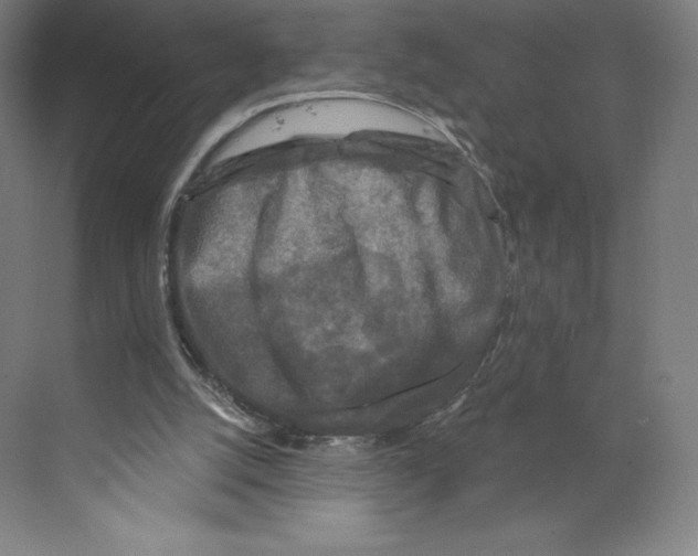 X0000068810056200606021601