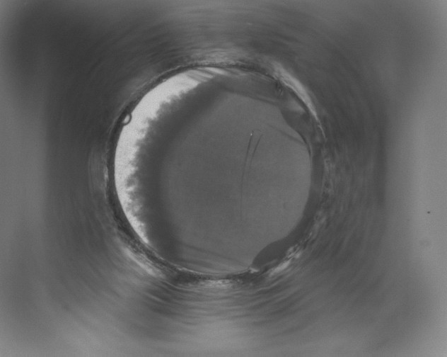 X0000068810059200606021601