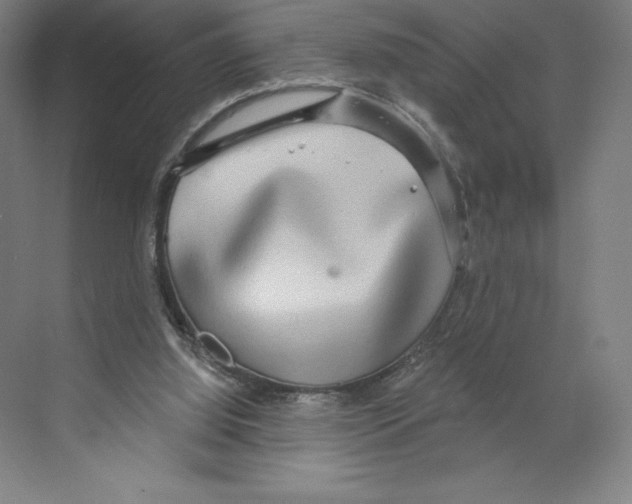 X0000068810060200606021601