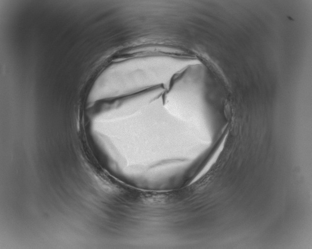 X0000068810062200606021602