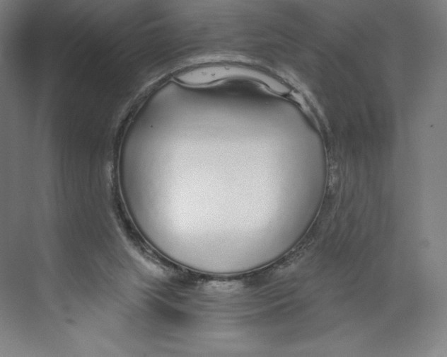X0000068810063200606021602