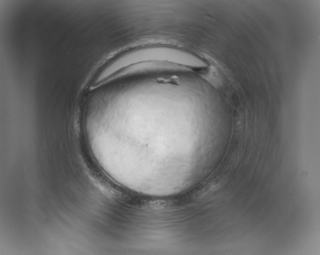 X0000068810064200606021602