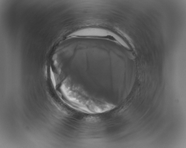 X0000068810067200606021602
