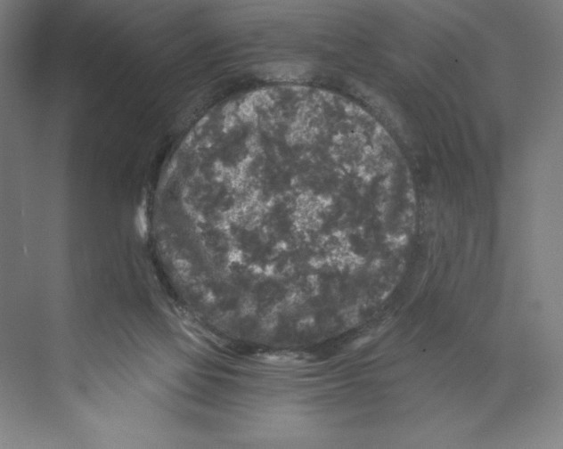 X0000068810069200606021602