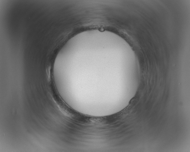 X0000068810070200606021602