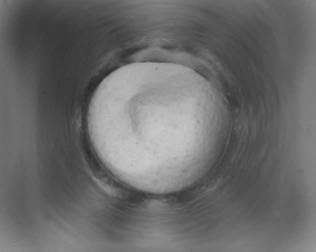 X0000068810072200606021602